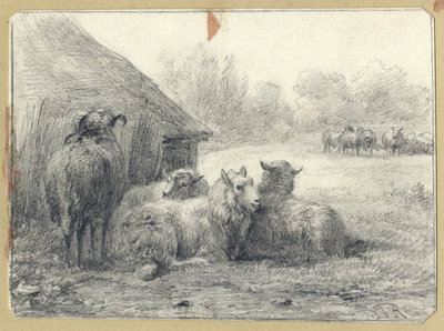 202555 Afbeelding van enkele schapen bij een schaapskooi in het park van de buitenplaats Beukenburg aan de ...